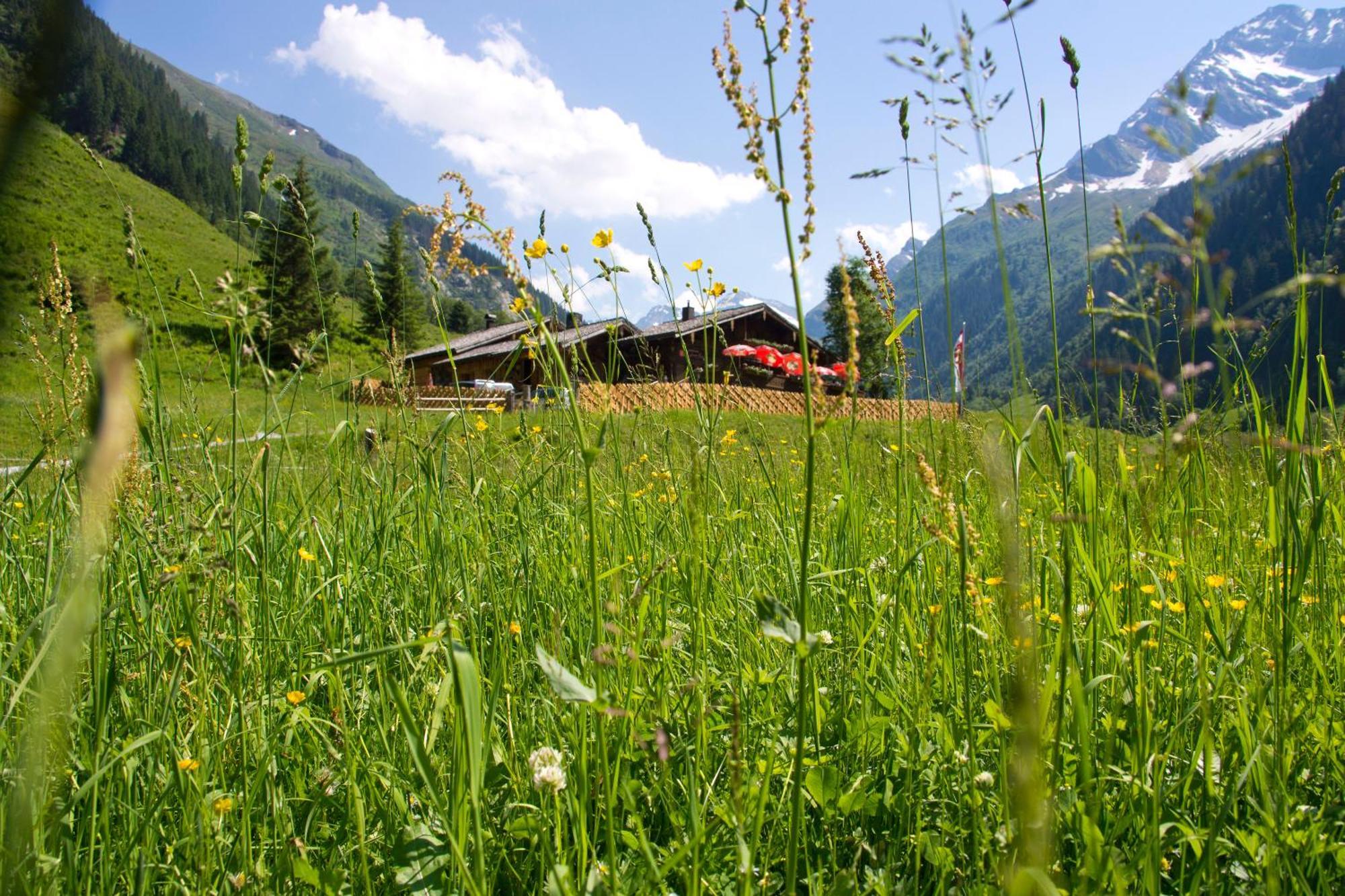 Bed and Breakfast Senninger Alm à Hollersbach im Pinzgau Extérieur photo